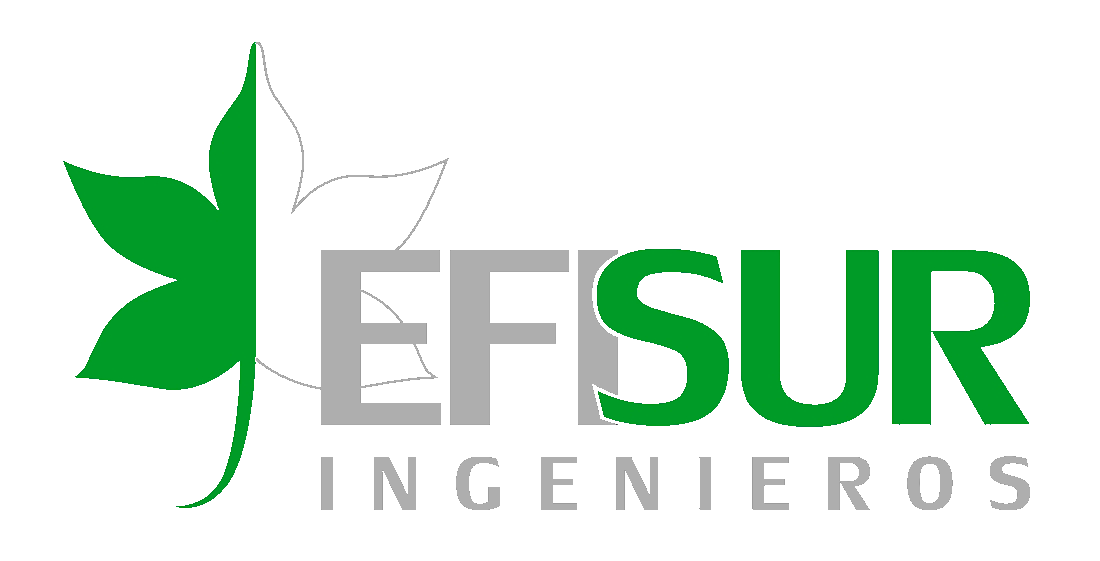 EFISUR